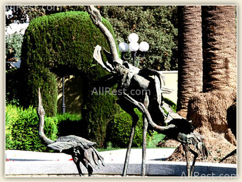 Villa Jerez 18